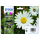 Tusz EPSON Multipack T1806  CMYK